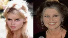 Sinema Efsanesi Brigitte Bardot, 91 Yaşında Ebediyete Uğurlandı - Ucon